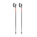 Leki Sentinel Ski Poles