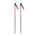 Rossignol Hero SG/GS Ski Poles