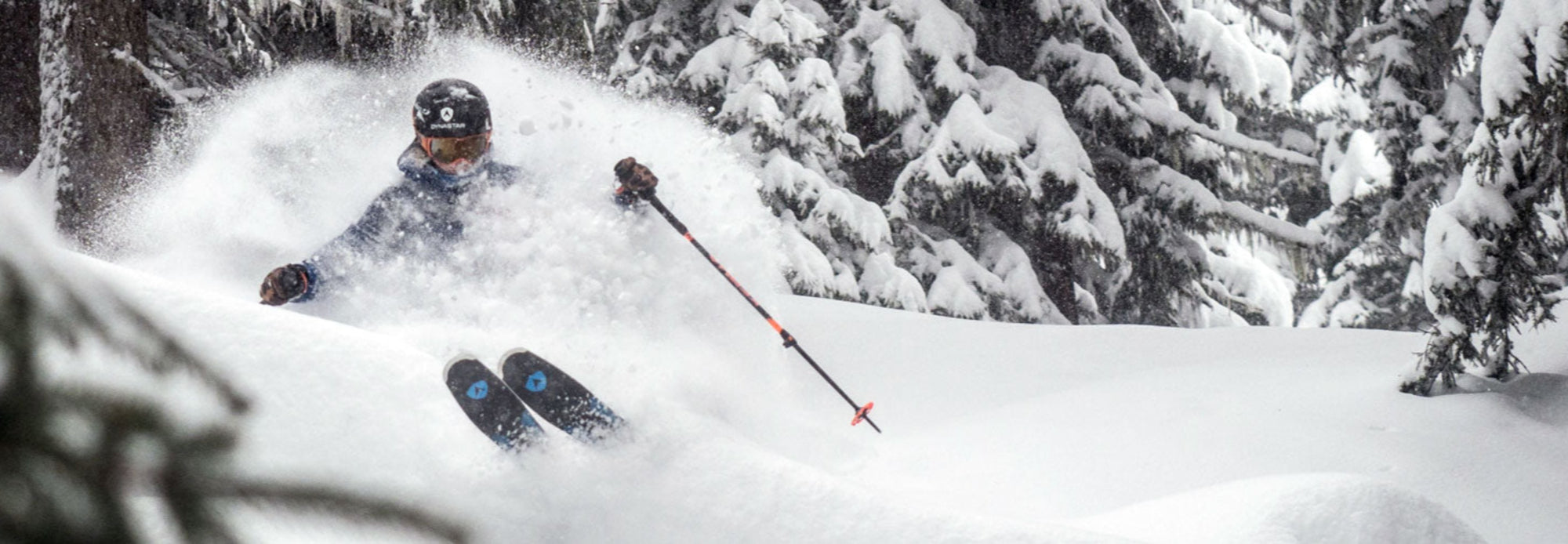 shop all mountain skis