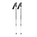 Swix CTI World Cup Pro Ski Poles